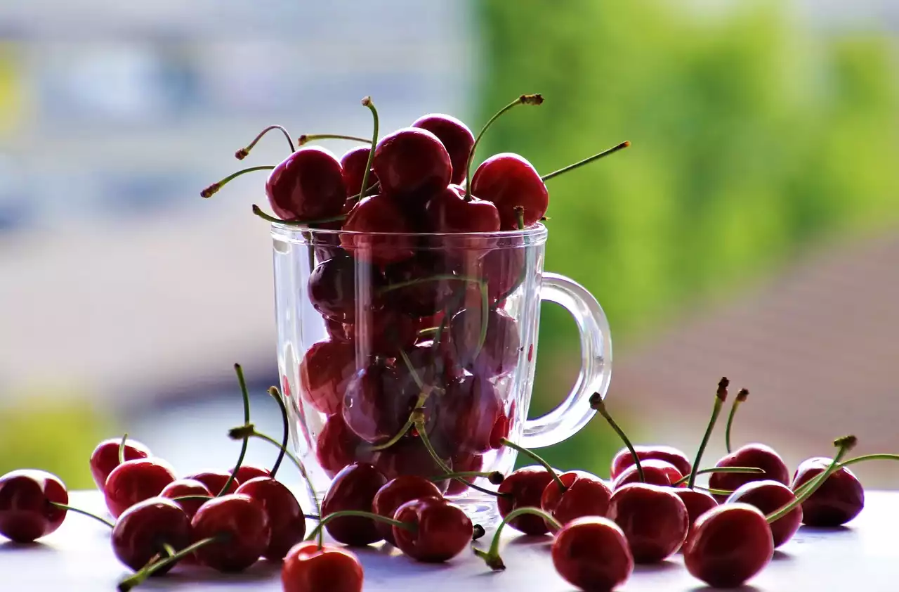 Les bienfaits pour la santé de manger des produits de saison et locaux